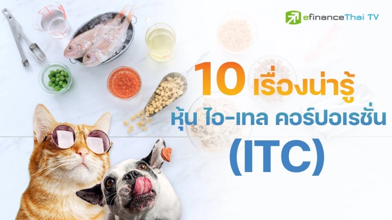 10 เรื่องน่ารู้ หุ้น ไอ-เทล คอร์ปอเรชั่น (ITC) - IPO Corner