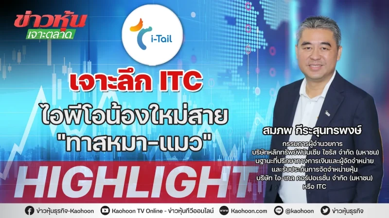 เจาะลึก ITC ไอพีโอน้องใหม่สาย"ทาสหมา-แมว" - Highlight