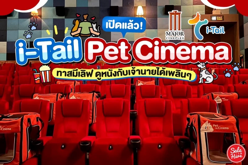 เปิดแล้ว! i-Tail Pet Cinema ทาสมีเลิฟ ดูหนังกับเจ้านายได้เพลินๆ