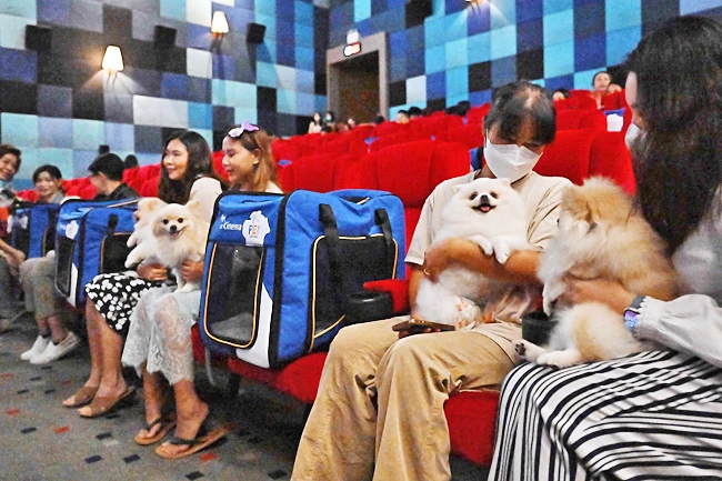 Paws and popcorn: Thai cinema goes pet-friendly