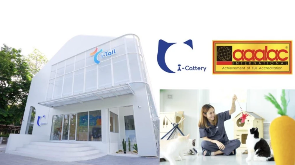 "ไอ-เทล"ปลื้ม I-Cattery รายแรก ได้มาตรฐานระดับโลก - Hoonsmart