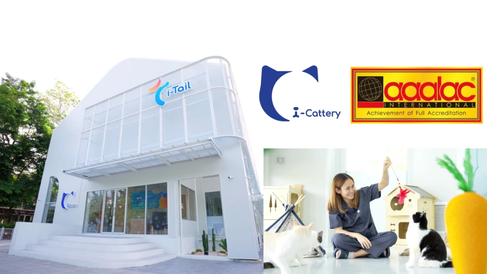 i-Cattery, the Cat Food Research Center, achieves historic success as Thailand’s first private company and the world’s only pet food manufacturer to be certified by AAALAC International